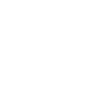 web_snapshot