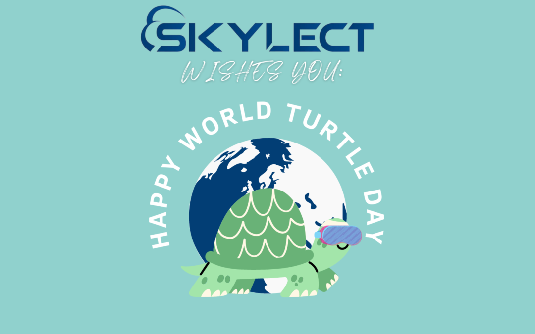 Happy World Turtle Day